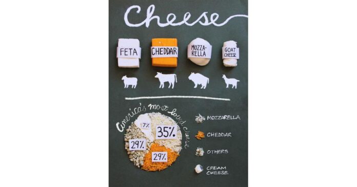 Cheese Market 2031 | Share Opportunities & Challenges in Latest Research Report for Business Growth