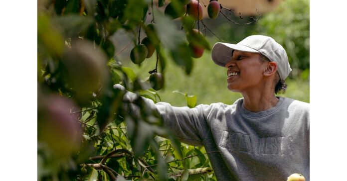 ek-1.jpeg Kimbe Set to Launch in September 2023, Revolutionizing Digital and Inclusive Luxury Fashion