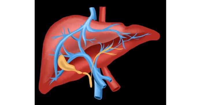 Pioneering High-Throughput Assay for Swift Detect of Liver Cancer Unveiled by HKG Epitherapeutics Ltd and Collaborators