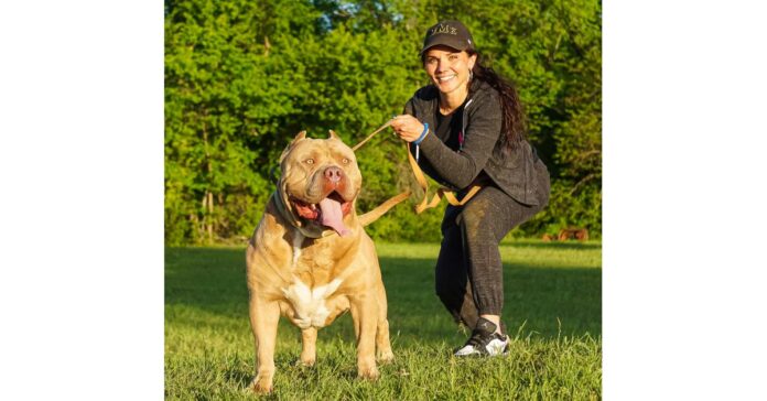 Manmade Kennels King Leonidas Jr, the Sensational XXL Red Nose Pitbull