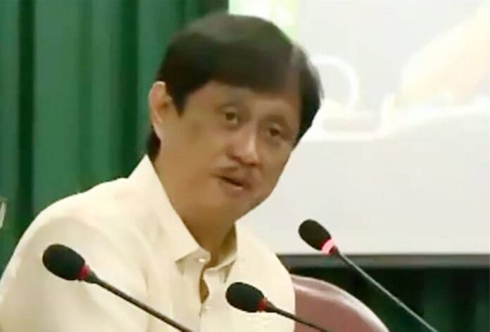 Agrarian Reform Secretary Conrado Estrella 3rd. Screengrab from House of Representatives