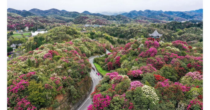 Guizhou's Solution to the Harmonious Coexistence of Humans with Nature
