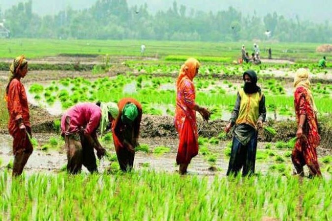 Kharif-Sowing-Drops-9-Posing-Threat-to-Food-Security-Rural.jpg Kharif Sowing Drops 9%, Posing Threat to Food Security, Rural Economy in India