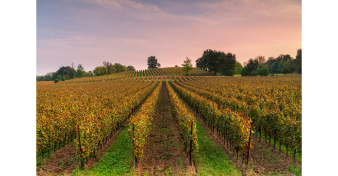 L'AUTOMNE 2023 METTRA EN VALEUR UNE GASTRONOMIE ET DES VINS LOCAUX EXCEPTIONNELS