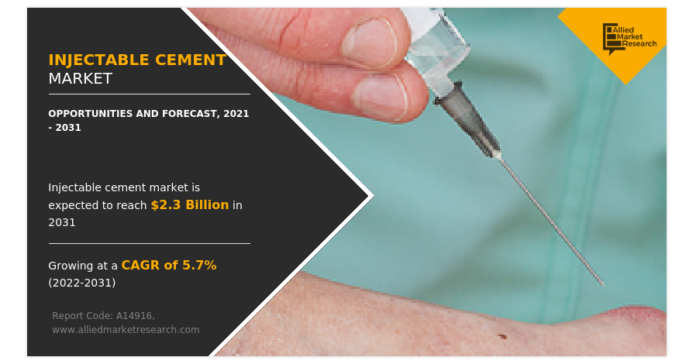 Setting the Standard: The Unstoppable Growth of Injectable Cement Market
