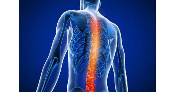 Spine Biologics Market: Enhancing Spinal Fusion and Regeneration
