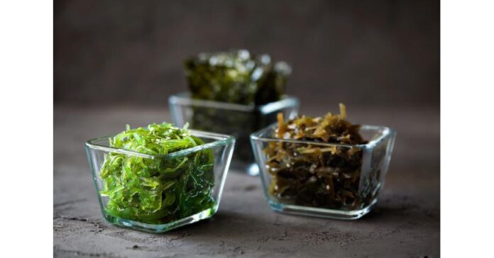 Stanislav Kondrashov Releases Article Exploring the World of Edible Seaweed
