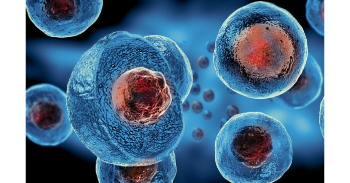Stem Cell Therapy Market: Revolutionizing Regenerative Medicine