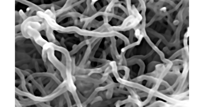 The World Nano Foundation - Potential of Nanotechnology in Advancing Materials Science for Space Exploration