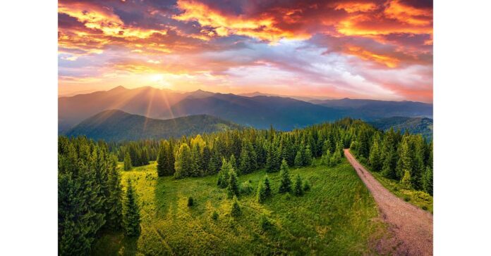 Unlocking the Benefits of Sunlight and Movement for Optimal Health