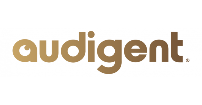 Simpli.fi Partners With Audigent on Unique Curated Marketplace, Featuring 500+ Exclusive PMP Deals
