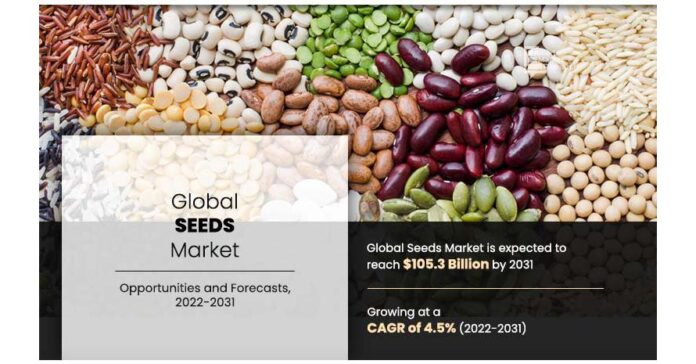 Seed Market Growth, Size, Share, Trends, Opportunities and Forecast to 2031