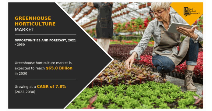 Greenhouse Horticulture Market Size, Share, Analysis, Trends, Growth, Demand and Forecast to 2031