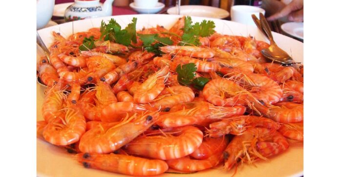 With 11% CAGR, Indian Shrimp Market to Reach US$ 14.0 Billion by 2028