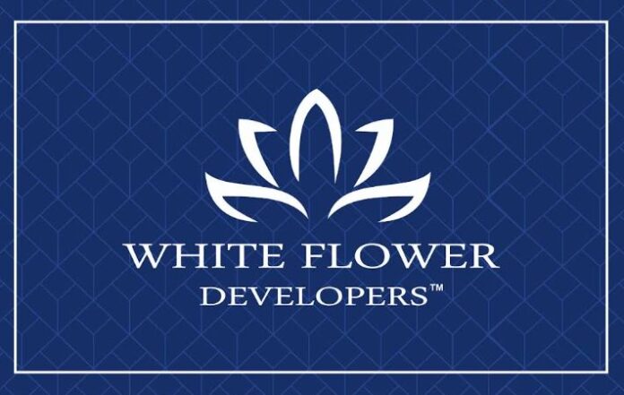 Unveiling Delhi's Real Estate Trailblazers: Modern-Age Developers to Watch