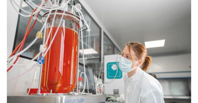 Global Stem Cell Manufacturing Market Size Worth US$ 19.9 Billion by 2028, CAGR 8.1%
