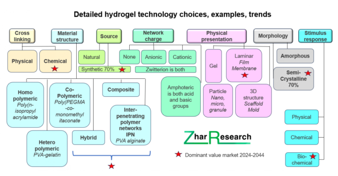 Hydrogels Can Change the Future of Healthcare