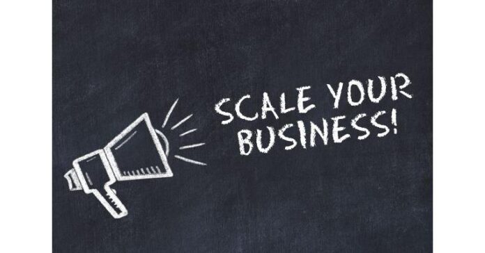 Small Business Owners Capitalizing on Current Momentum to Scale