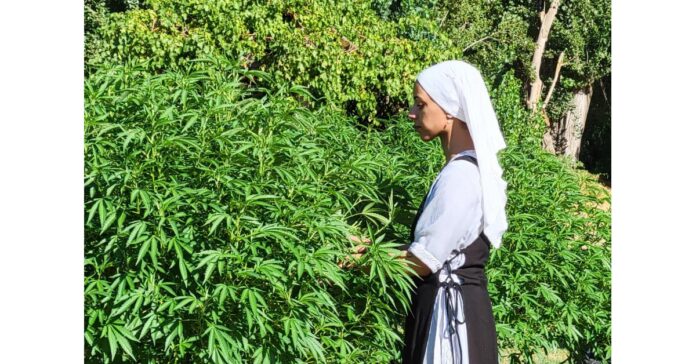 The Sisters of the Valley Proudly Announce the Coming of Cannafest September 9 & 10