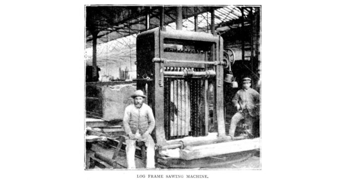 America Faces 1880s-Level Labor Instability Due to Baby Boomer Caregiving Crisis