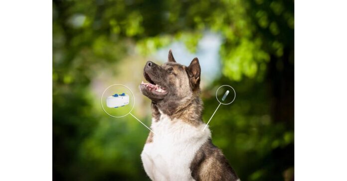 Pet GPS Tracker Market is Booming Worldwide