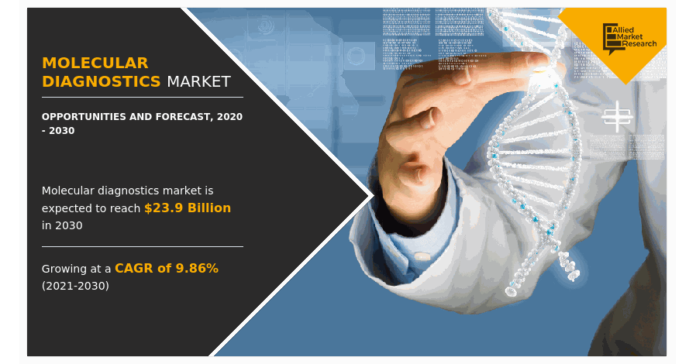 Molecular Diagnostics Market Size Predicted to Hit USD 23.9 billion, Molecular Diagnostics Market Size Predicted to Hit USD 23.9 billion, Globally, by 2030 at 9.86% CAGR, Says AMR