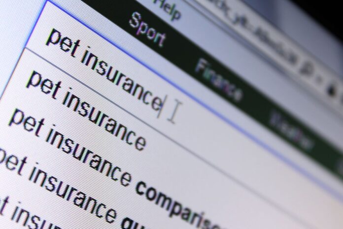 Pet insurance online search