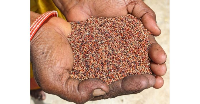 Millets Make Sense for India’s PDS