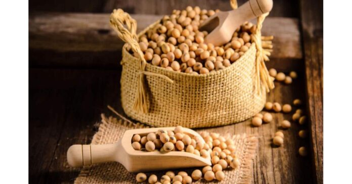 Soybean Derivatives Market to Witness Stunning Growth with a CAGR of 8.1%