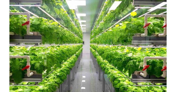 Vertical Farming Market Is Booming Worldwide with Plenty, Valoya, Osram