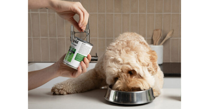 4 Tips for Feeding Picky Pets