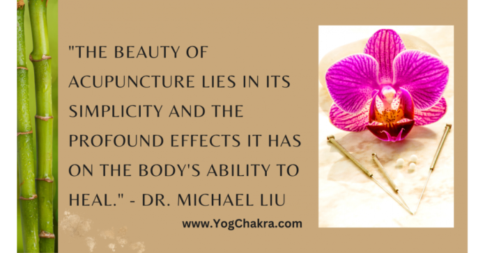 Acupuncture for Athletes: Enhancing Performance and Recovery