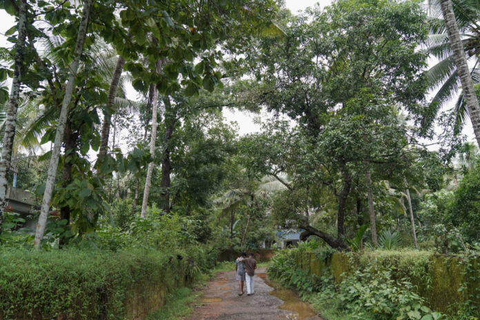 Two Children Walk Below Bats Roosting In A Tree In Kayakkody Village Near Maruthonkara Village, India