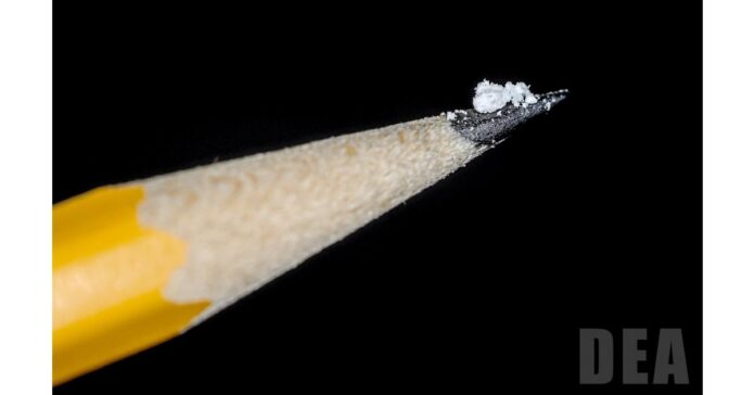Foundation for a Drug-Free World helps combat the rise in opioid and fentanyl-related overdose deaths with education