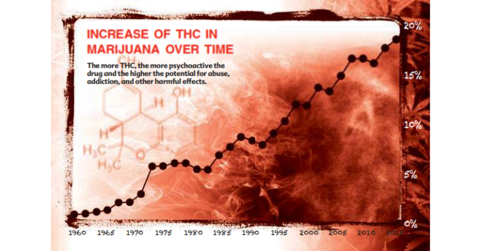 Foundation for a Drug-Free World offers new information to senior citizens on the little-known dangers of marijuana