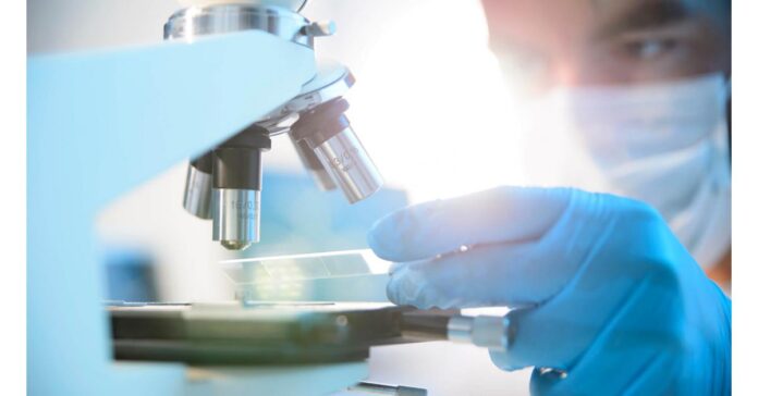 Research Antibodies Market Latest Report, Innovations, Industry Analysis and Future Research Antibodies Market Latest Report, Innovations, Industry Analysis and Future Market Projections