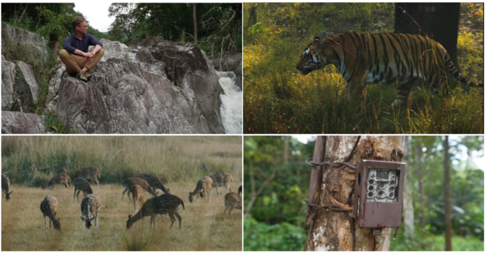 CNN’s Mission Tiger explores tiger conservation initiatives that improve ecosystems and resolve human-wildlife conflict