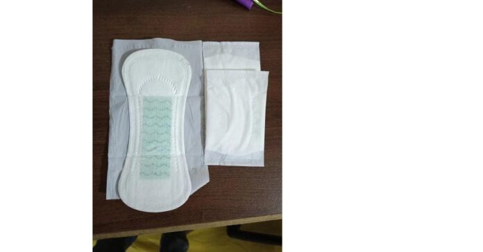 Disposable Sanitary Napkins and Panty Liner Market Expecting Huge Demand in Upcoming Years With a CAGR of 5.8%