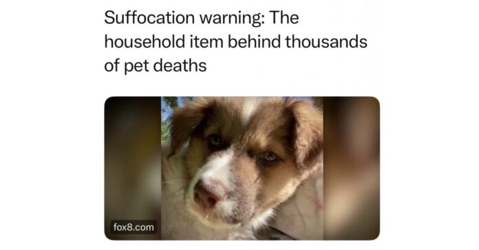 Prevent Pet Suffocation Spreads More Awareness About Pet Suffocation