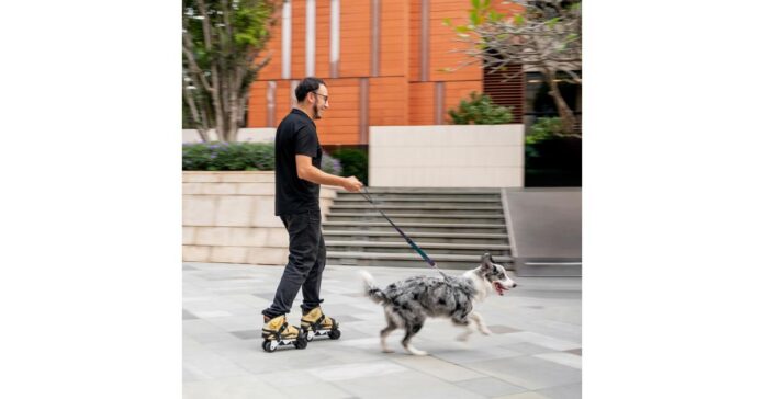 limited Rollwalk Black Friday specials from $279