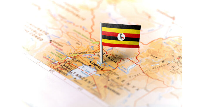 XRP Healthcare and The Burnratty Investment Group Unveil Investment Opportunities in African Healthcare Mergers & Acquisitions
