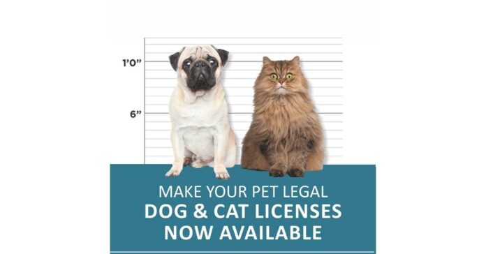 Ya es hora de renovar la licencia para mascotas en el Condado de Palm Beach