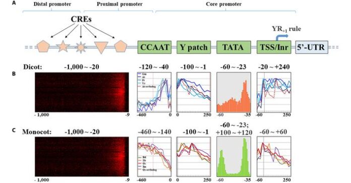 Promoters, Terminators, and Their Role in Biodesign Promoters, Terminators, and Their Role in Biodesign