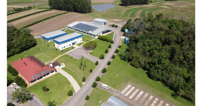 Alliance One Positions Business for Growth in International Seed Sector
