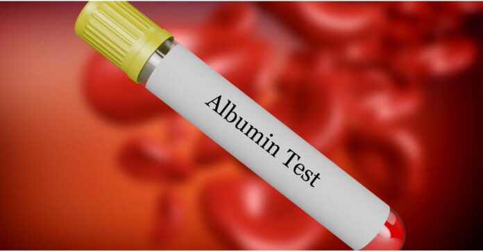 Albumin Market Size, Industry Analysis, Growth Rate, Trends, Report 2024-2032