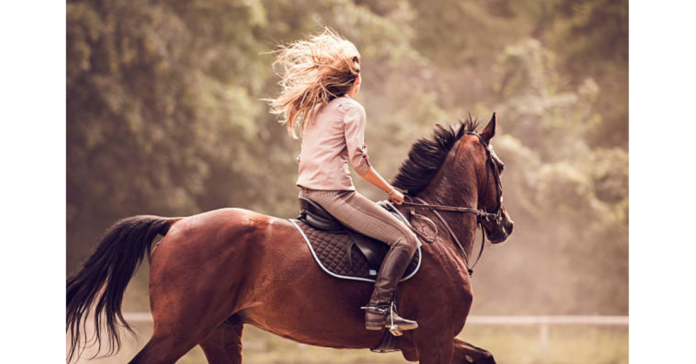 Steadily Growing Horse Betting Market will Land $91.2 Billion by 2032 ; Tabcorp Holdings Limited, OPAP S.A., Churchill