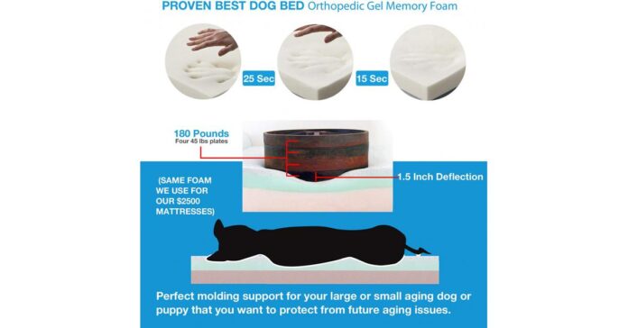 Back Support Systens Offers 20% Off High Quality Dog Beds