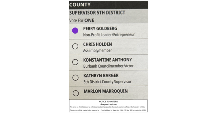 LA County Supervisor Candidate Perry Goldberg To Host Virtual Get-Out-The-Vote Event