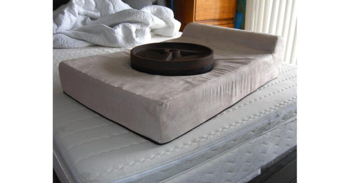 Pet Support Systems Offers the Highest Quality Large Dog Beds at 20% Off