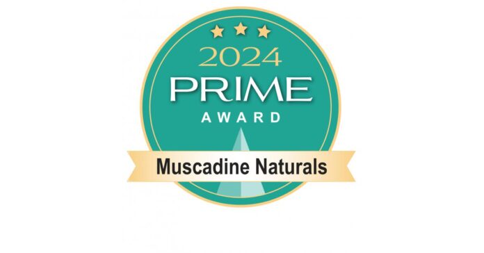 Prime Award "National Business Innovator Award